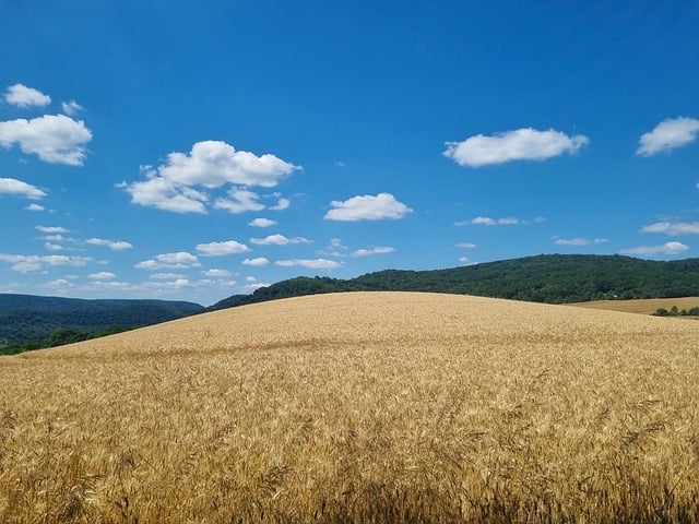 lokalita pro stavění domu